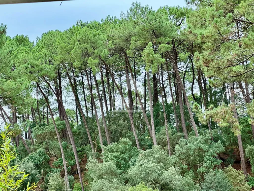 Photo du bien ref1909